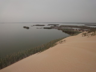 Restoration of the Al Asfar Lake at Al Hasa in Saudi Arabia